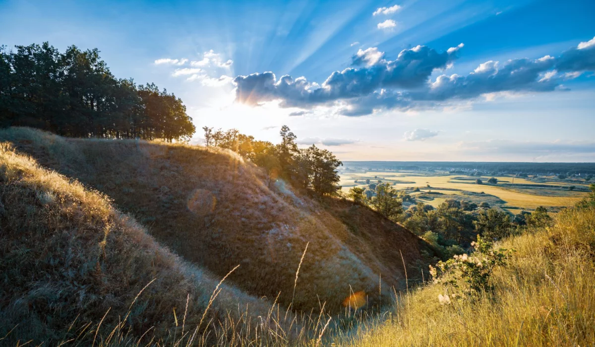 Stomatologia - krótki poradnik dla pacjentów