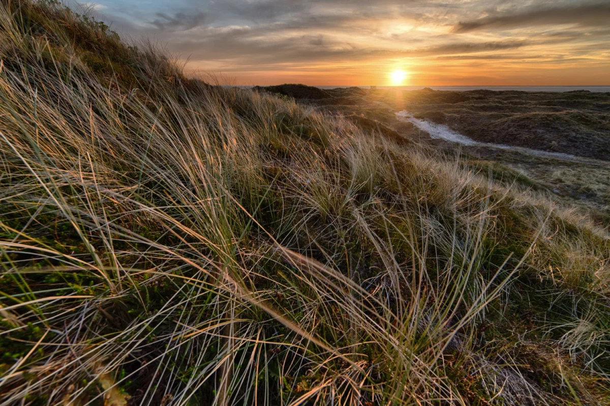 Czy wiesz jak kupić kosmetyki orientalne żeby później tego nie żałować?