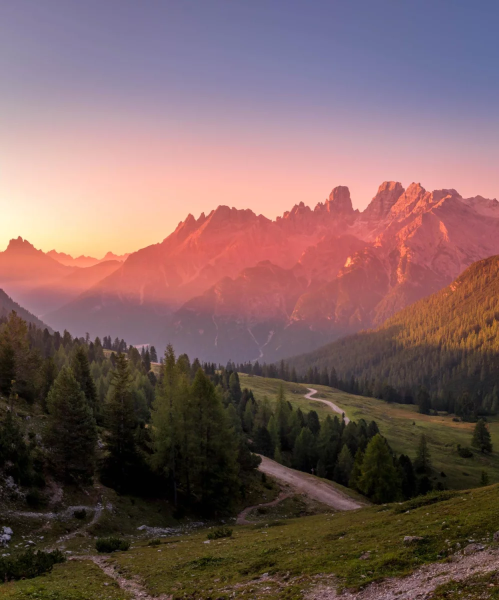 Pozycjonowanie strony restauracji w Rybniku: menu, opinie i schema.org