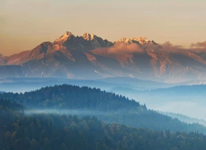 Odnowienie mebli: 8 sprawdzonych technik DIY — malowanie, przecierki, bejcowanie, tapicerka i wymiana okuć krok po kroku