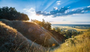 Czy warto wynająć krzesła? Koszty i ceny