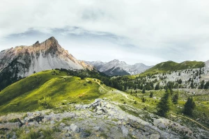 Radzimy jak sprowadzić auto z Niemiec taniej