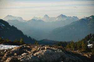 Ciekawe kto może wyposażyć dom?